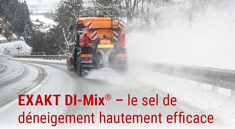 Camion de sel de déneigement